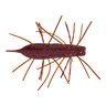 SCAPPANON