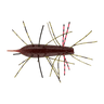 ZARI BUG