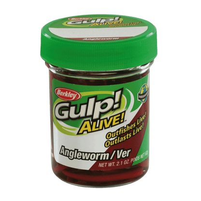 BERKLEY GULP ALIVE ANGLE WORM FISHING LURE 1 IN RED WIGGLER - 1
