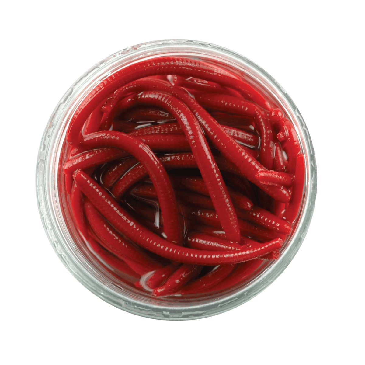 BERKLEY GULP ALIVE ANGLE WORM FISHING LURE 1 IN RED WIGGLER - 2