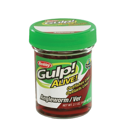 BERKLEY GULP ALIVE ANGLE WORM FISHING LURE 1 IN RED WIGGLER - 3