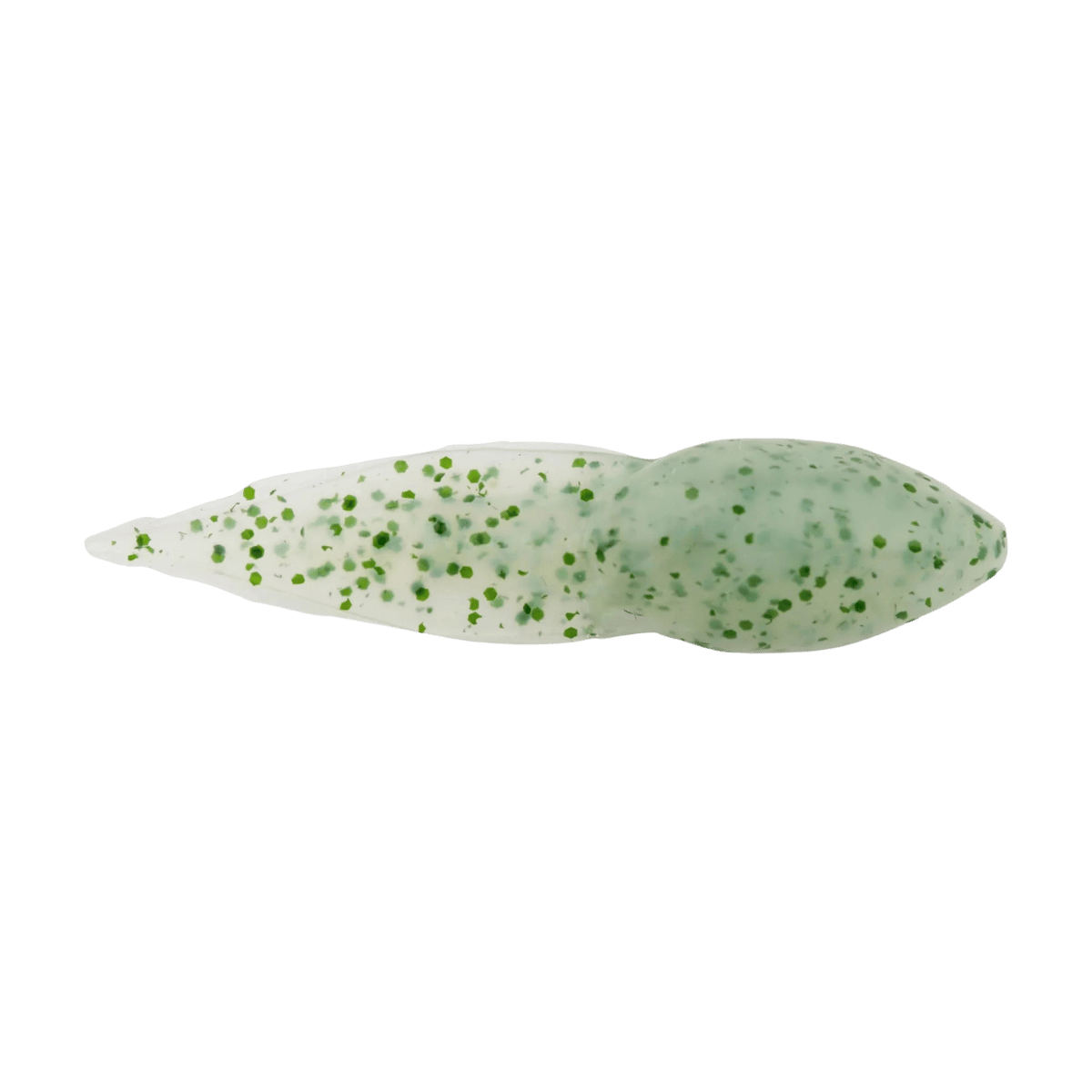 BERKLEY GULP ALIVE TADPOLE 1.25IN - SCENTED SOFT BAIT - CHIVE