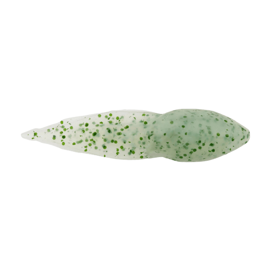 BERKLEY GULP ALIVE TADPOLE 1.25IN - SCENTED SOFT BAIT - CHIVE