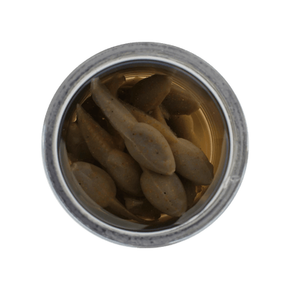 BERKLEY GULP ALIVE TADPOLE 1.25IN - SCENTED SOFT BAIT - SMOG IN CAN