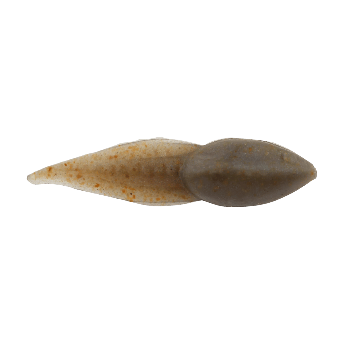 BERKLEY GULP ALIVE TADPOLE 1.25IN - SCENTED SOFT BAIT - SMOG