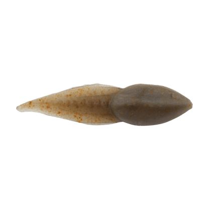 BERKLEY GULP ALIVE TADPOLE 1.25IN - SCENTED SOFT BAIT - SMOG