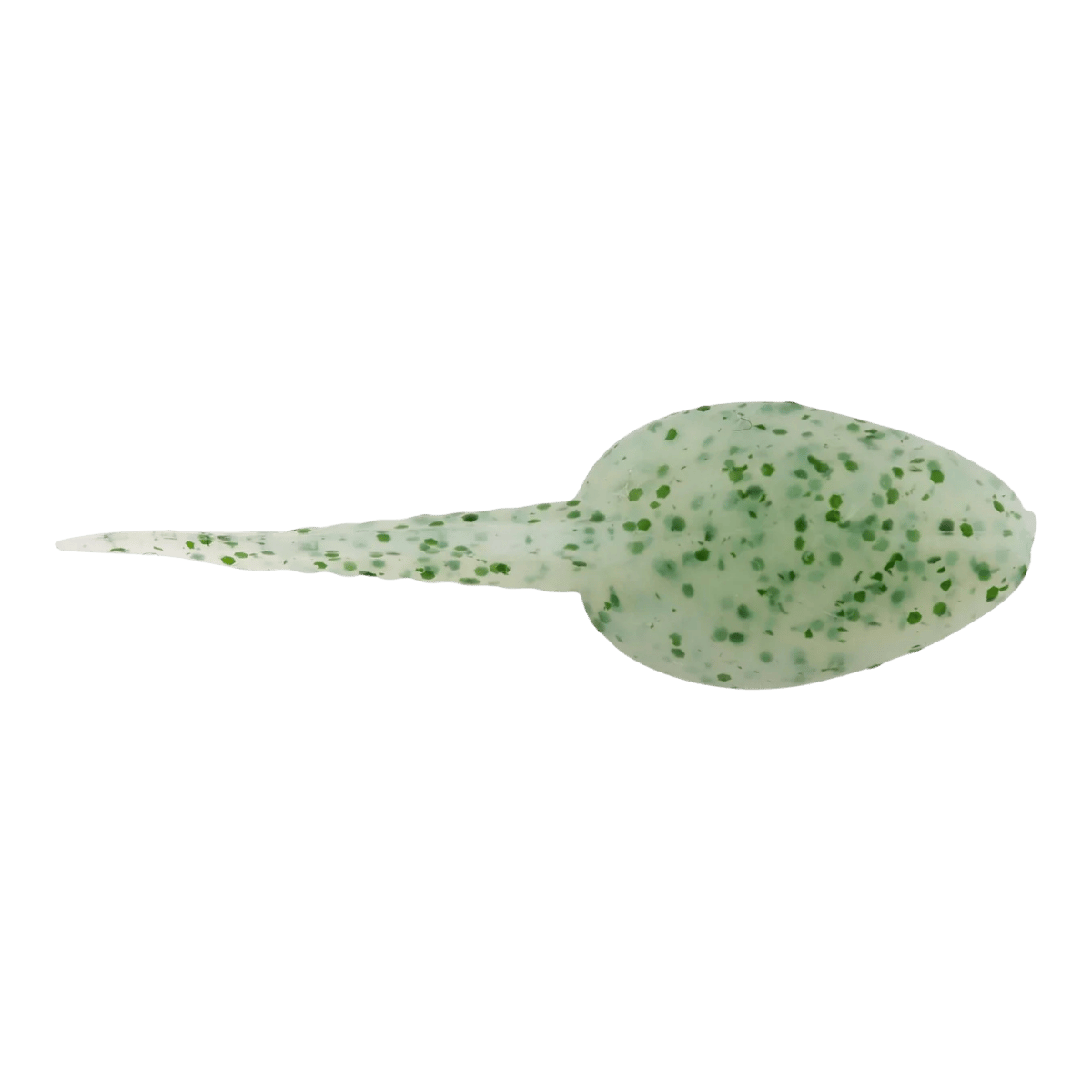 BERKLEY GULP ALIVE TADPOLE 1.25IN - SCENTED SOFT BAIT - CHIVE-1