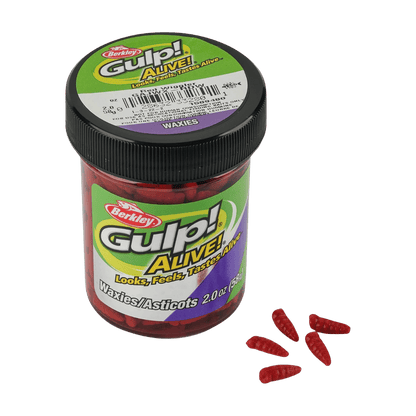 BERKLEY GULP ALIVE WAXIES FISHING LURE 1/2 IN RED WIGGLER - 1