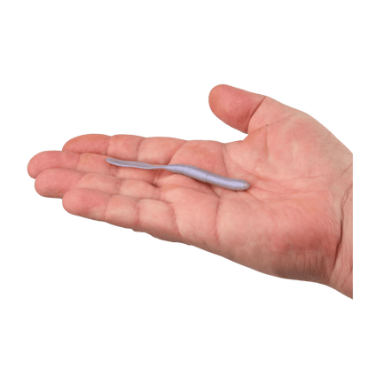 BERKLEY GULP! SR CRAWLER 12PK – SCENTED SOFT PLASTIC WORM - OPENING NIGHT - 4 IN - PRODUCT IN HAND