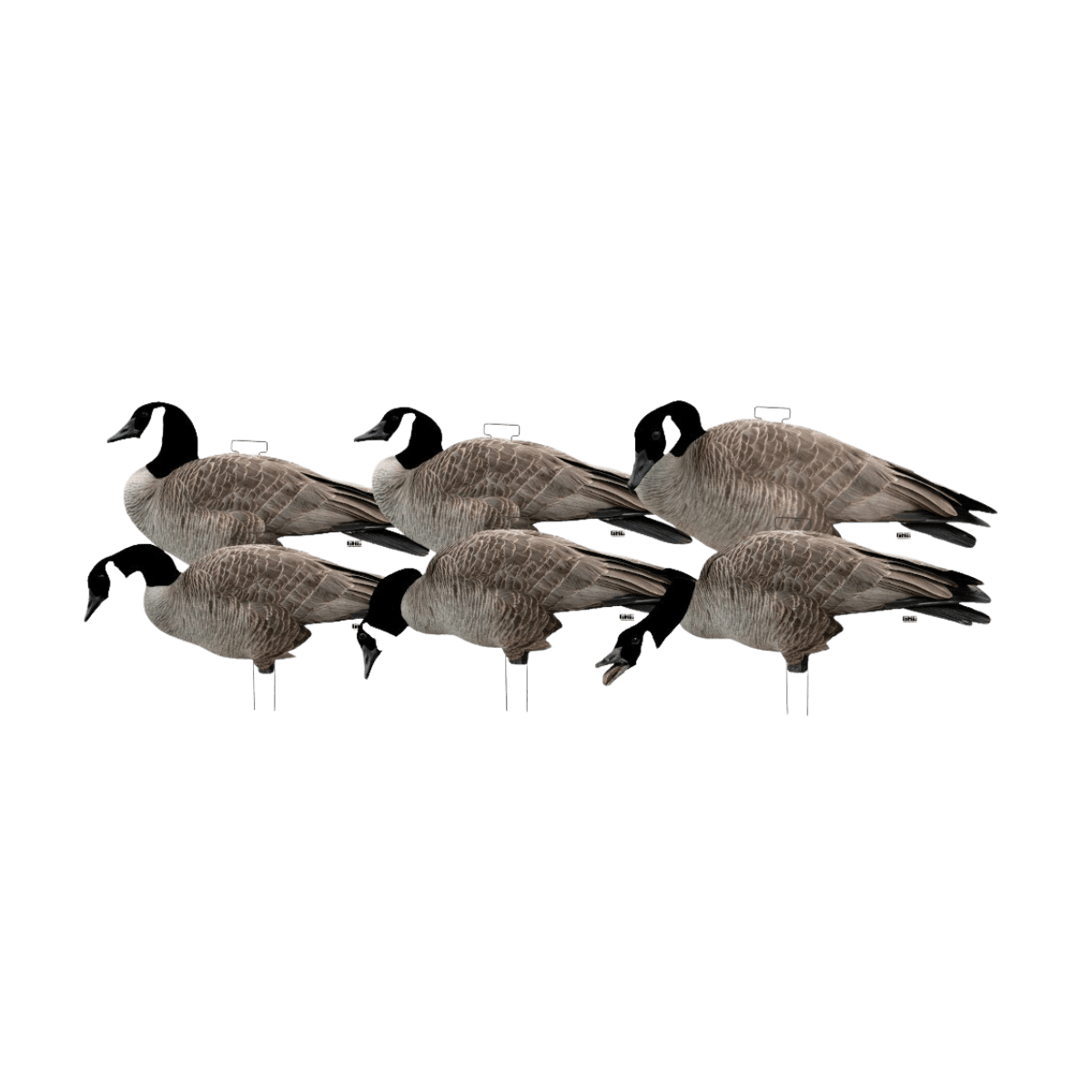 GHG PRO GRADE CANADA GOOSE SILHOUETTE DECOYS CANADA
