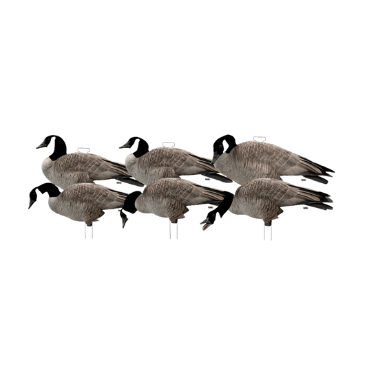GHG PRO GRADE CANADA GOOSE SILHOUETTE DECOYS CANADA