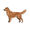 GOLDEN RETRIEV