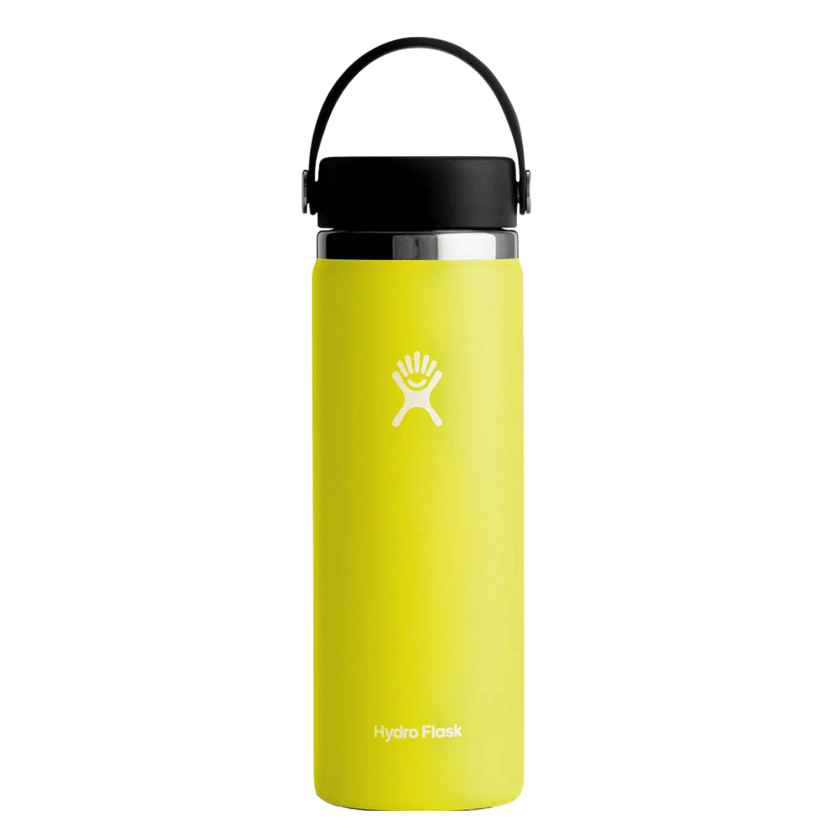 HYDRO FLASK WIDE MOUTH BOTTLE 20OZ_CACTUS
