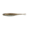 TENNESSEE SHAD