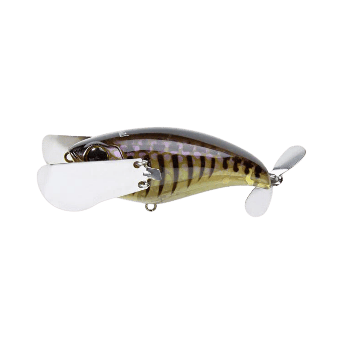 JACKALL POMPADOUR JR. TOPWATER NOISY IS GILL BONE