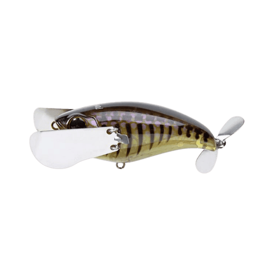 JACKALL POMPADOUR JR. TOPWATER NOISY IS GILL BONE