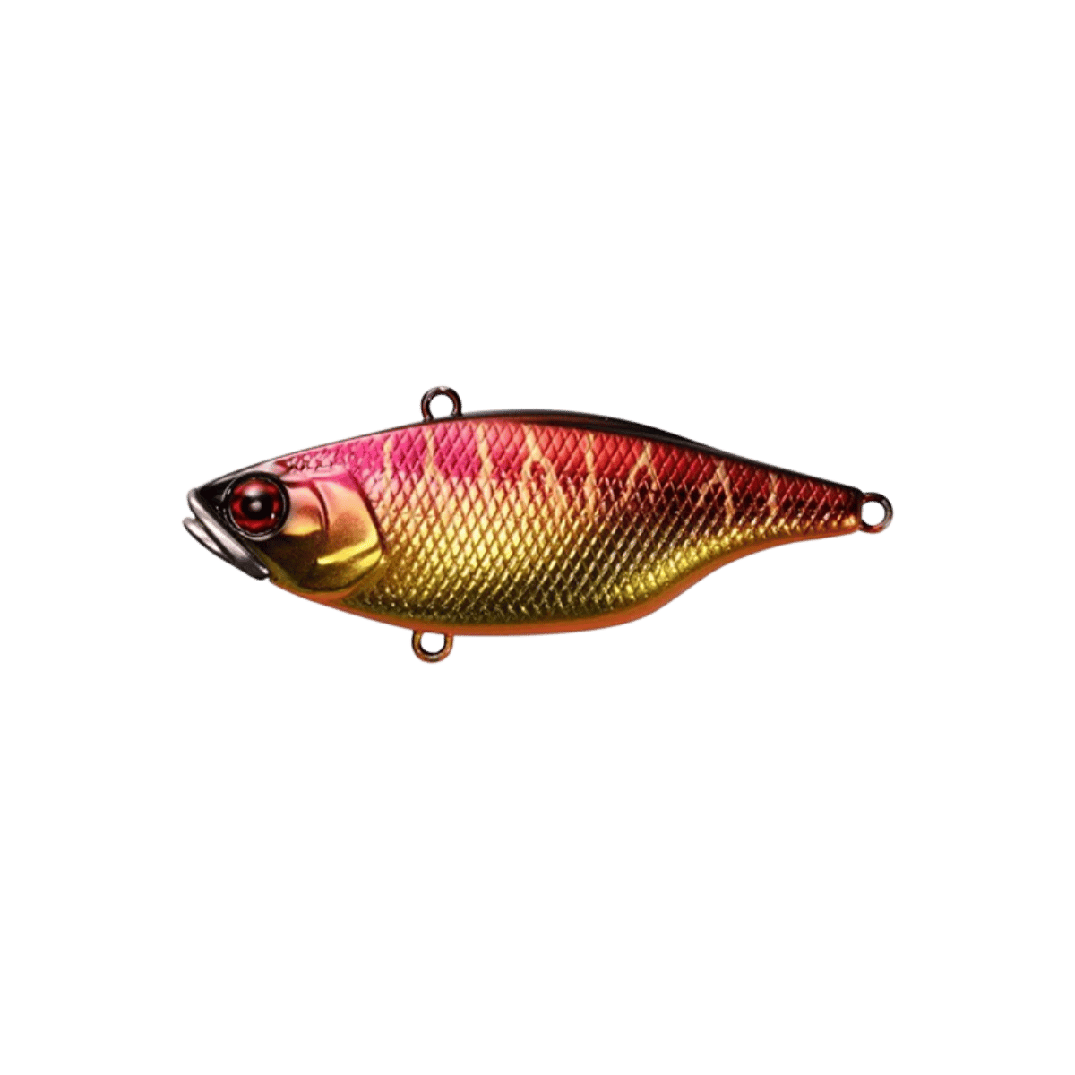 JACKALL TN 50 LIPLESS CRANKBAIT SPAWNING TIGER