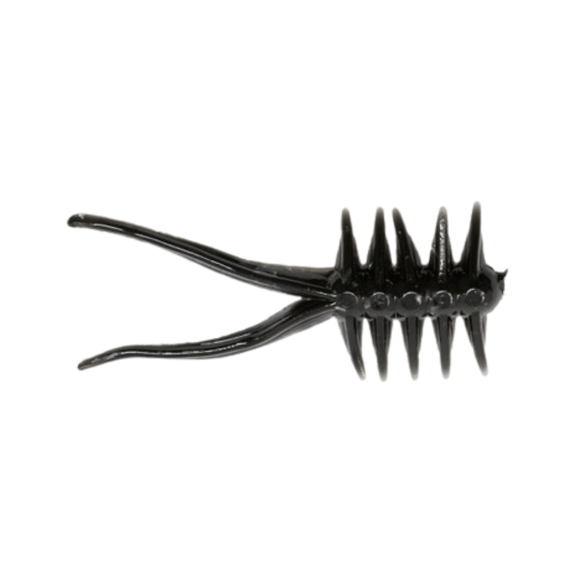 CLAM JAMEI - 1-1/8IN -  FATHEAD