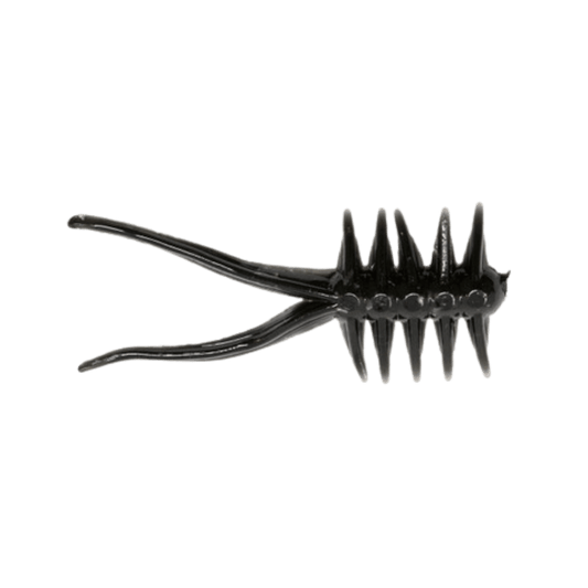 CLAM JAMEI - 1-1/8IN -  FATHEAD
