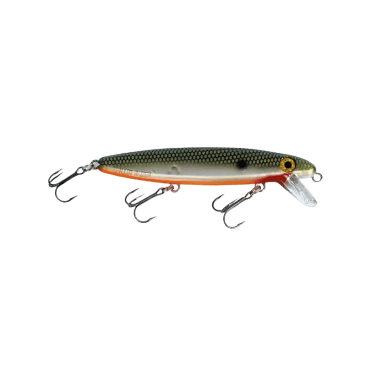 JOE BUCHER SHALLOW RAIDER- TENN SHAD - 7 INCH