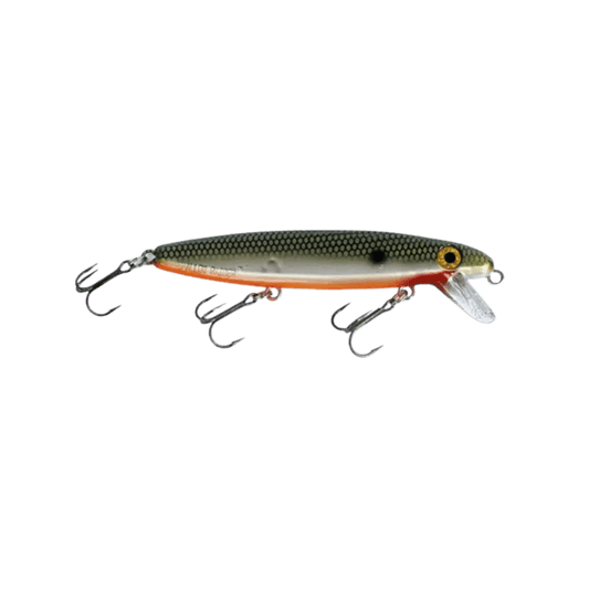 JOE BUCHER SHALLOW RAIDER- TENN SHAD - 7 INCH