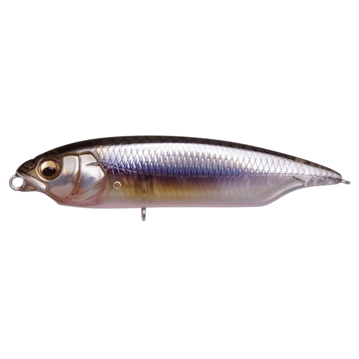 MEGABASS KARASHI HARD BAIT 2.3IN_KASUMIITOKS