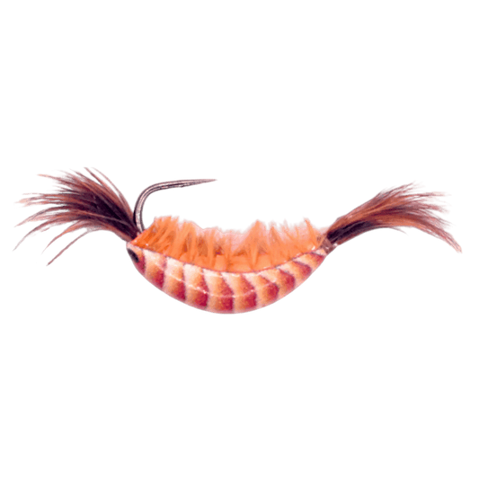 KENDERS TUNGSTEN GLOW NATURAL SHRIMP JIGS 1/32OZ_BROWN