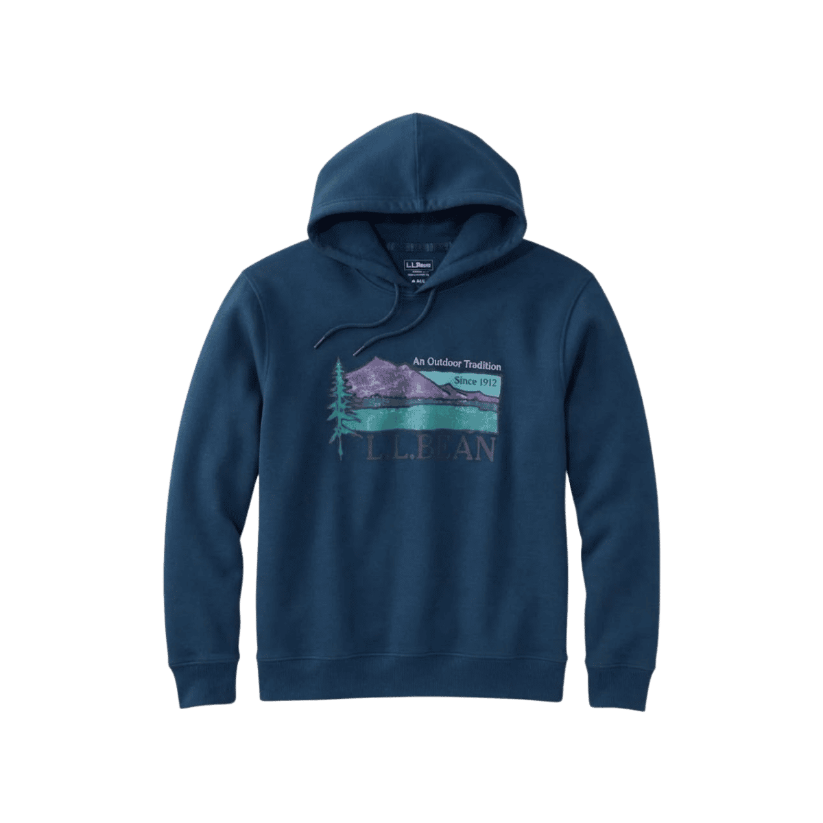 L.L.BEAN MTN CLASSIC VNTG FLEECE HOODIE IMAGE