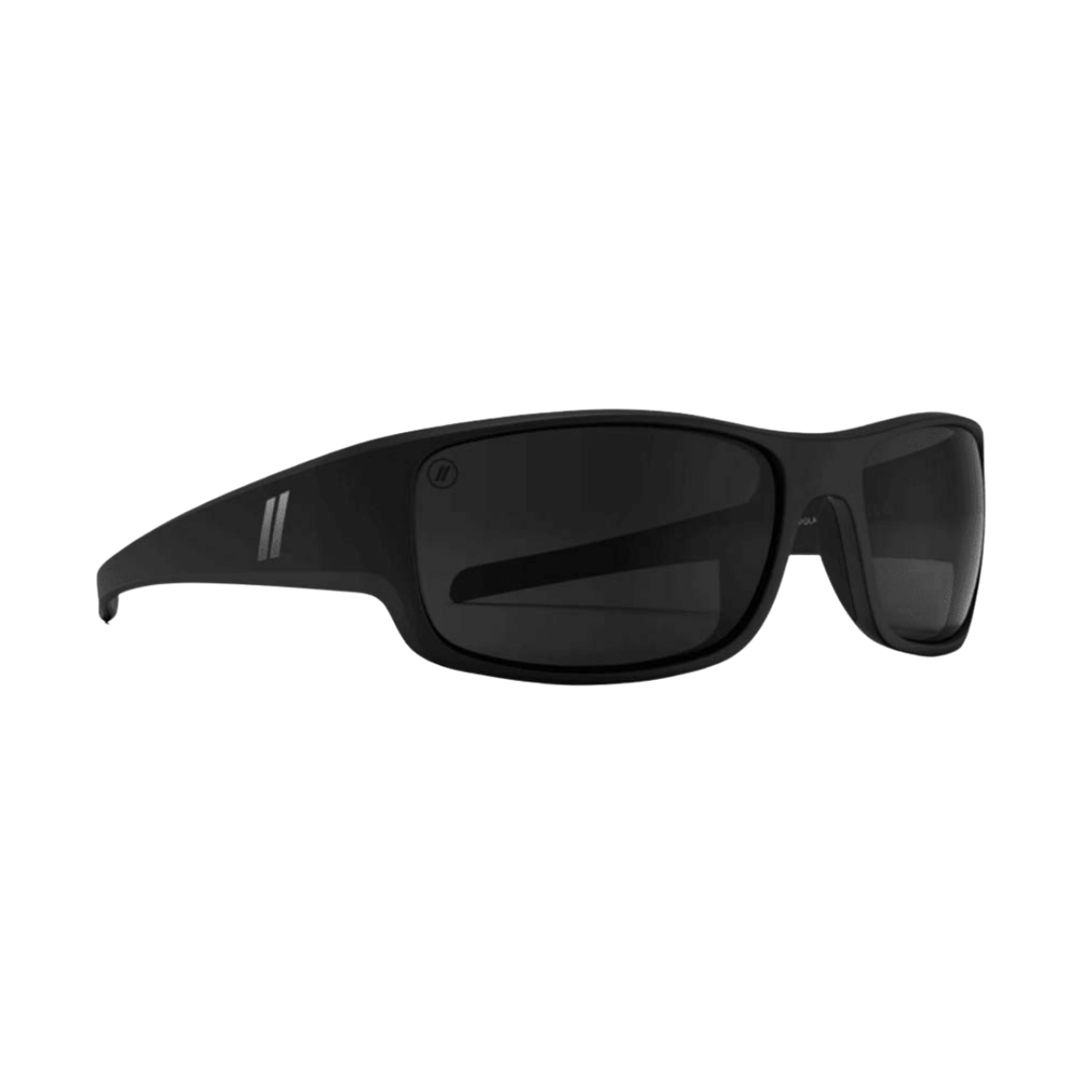 BLENDERS LAKEVIEW SUNGLASSES - MT BLK/SMK POL