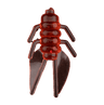 RED BUG