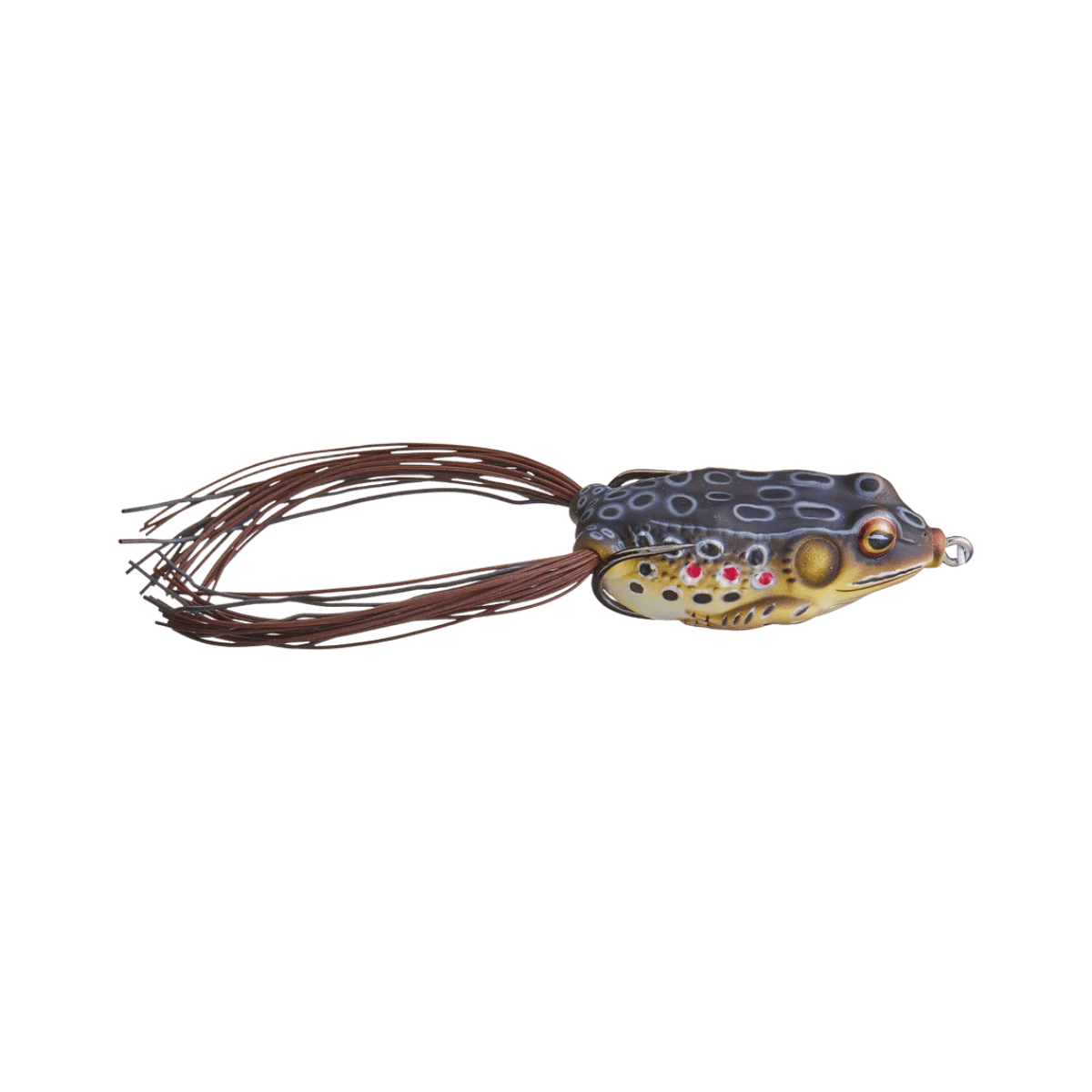 LIVE TARGET HOLLOW BELLY FROG 1 2OZ BROWN/BLACK