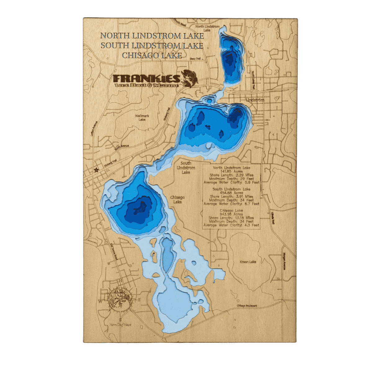 LAKEMAPS/IN DEPTH FHS - SOUTH LINDSTROM/CHISAGO LAKE