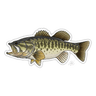 LARGEMOUTH BASS