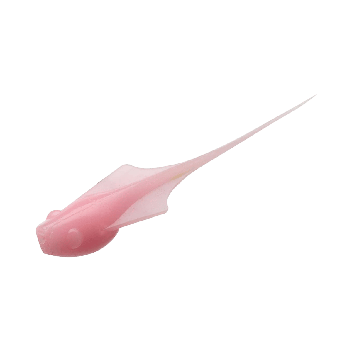 13 FISHING MADPOLE PANFISH PLASTICS 6PK BUBBLE GUM