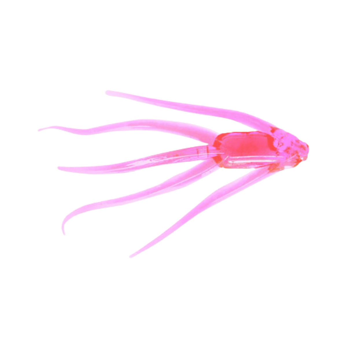 CLAM MAKI LURE HOT PINK GLOW