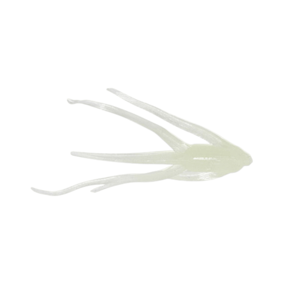 CLAM MAKI LURE LUMI