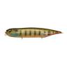 BIWAKO CLEAR GI