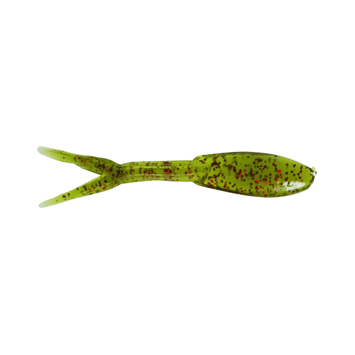 CLAM MINOHEAD TAIL FATHEAD 