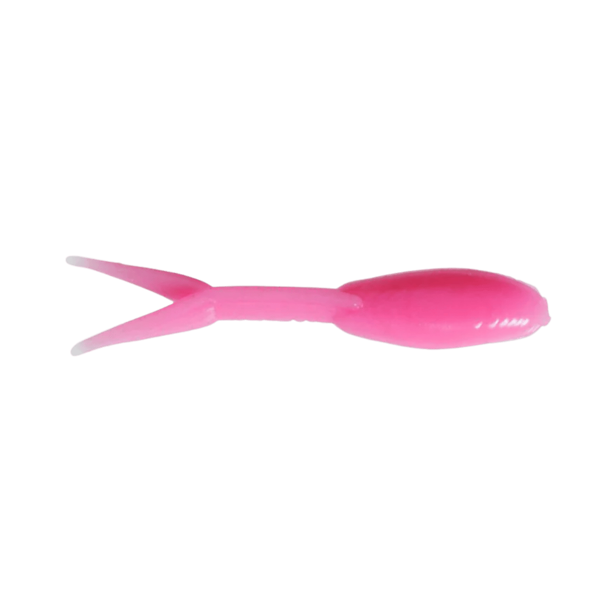 CLAM MINOHEAD TAIL HOT PINK GLOW