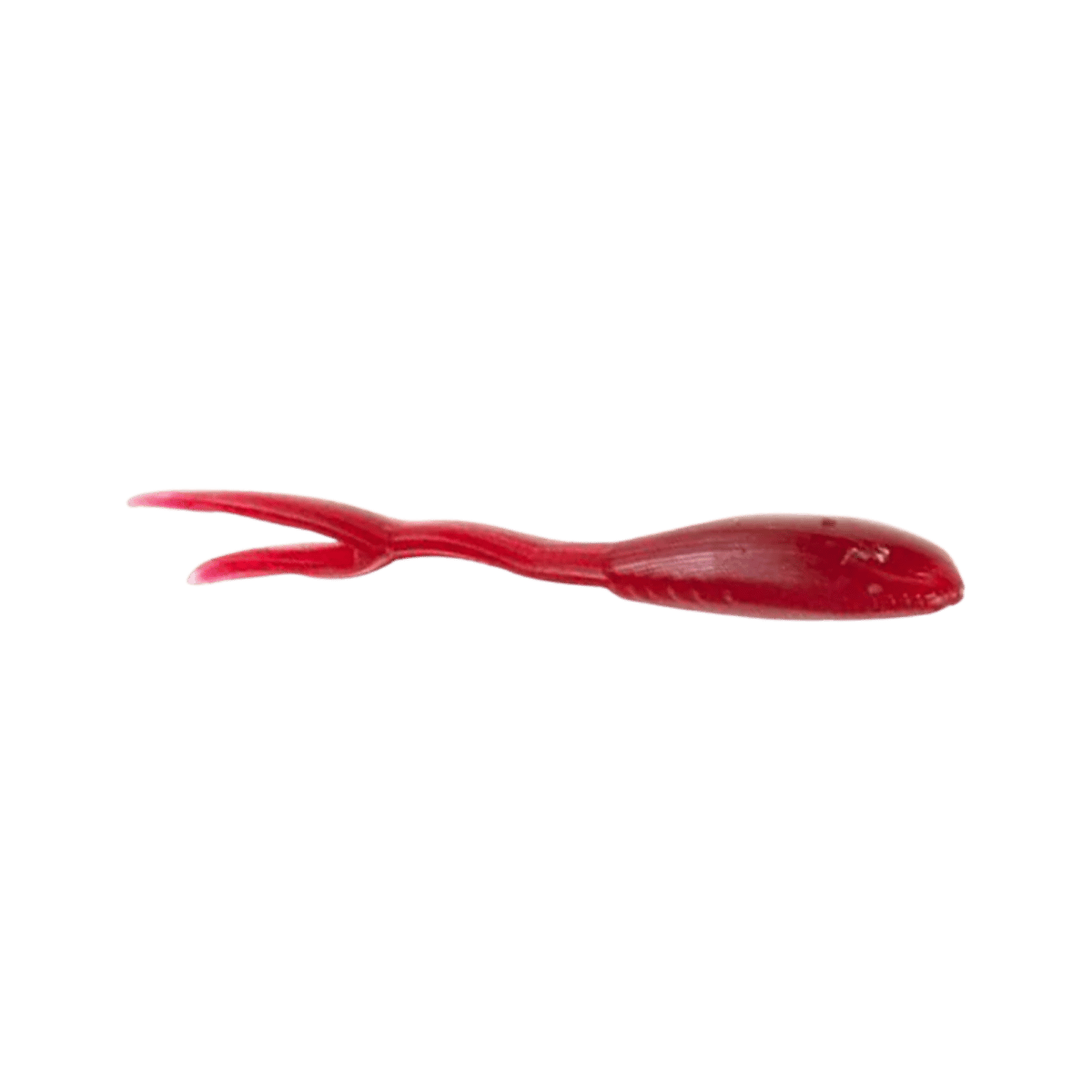 CLAM MINOHEAD TAIL RED