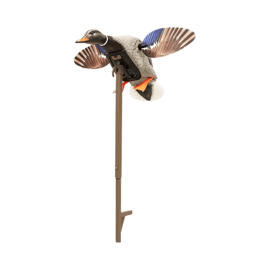 MOJO OUTDOORS MINI MALLARD DRAKE