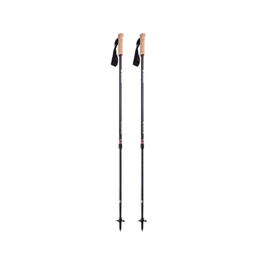 MOUNTAINSMITH ANDESITE TREKKING POLES - CARBON