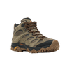 OLIVE/GUM