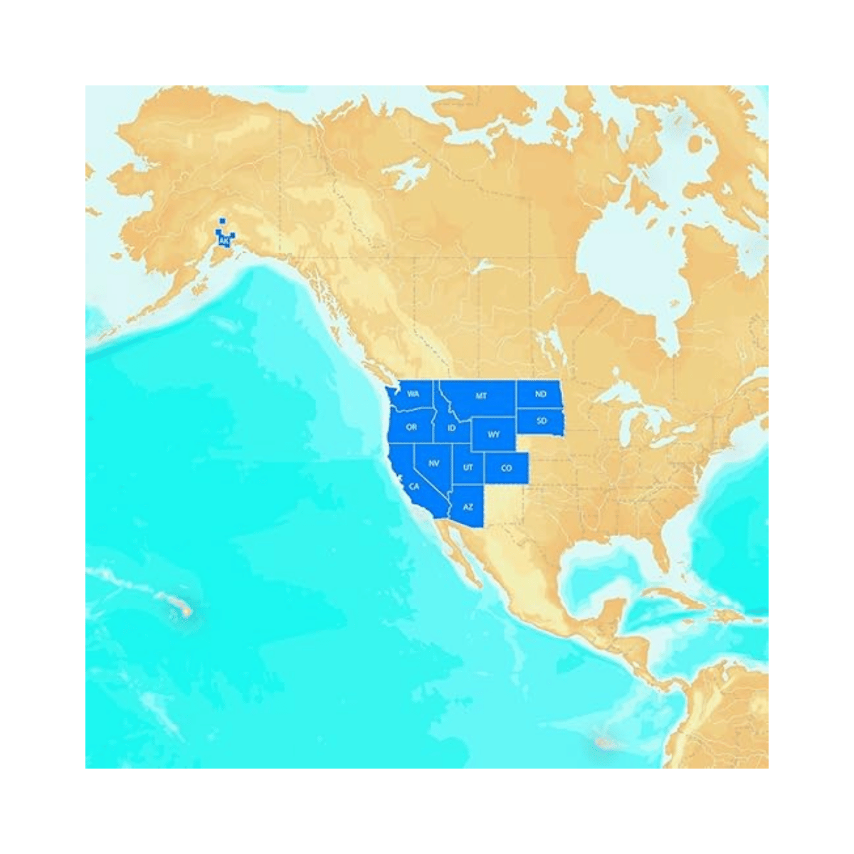 NAVIONICS HOTMAPS PLATINUM SD/MSD WEST MULTI COLOR