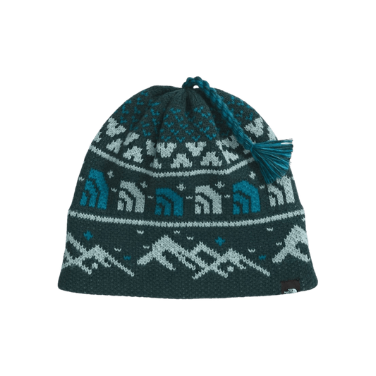 NORTH FACE CABIN SKI TUKE BOTTLE GREEN