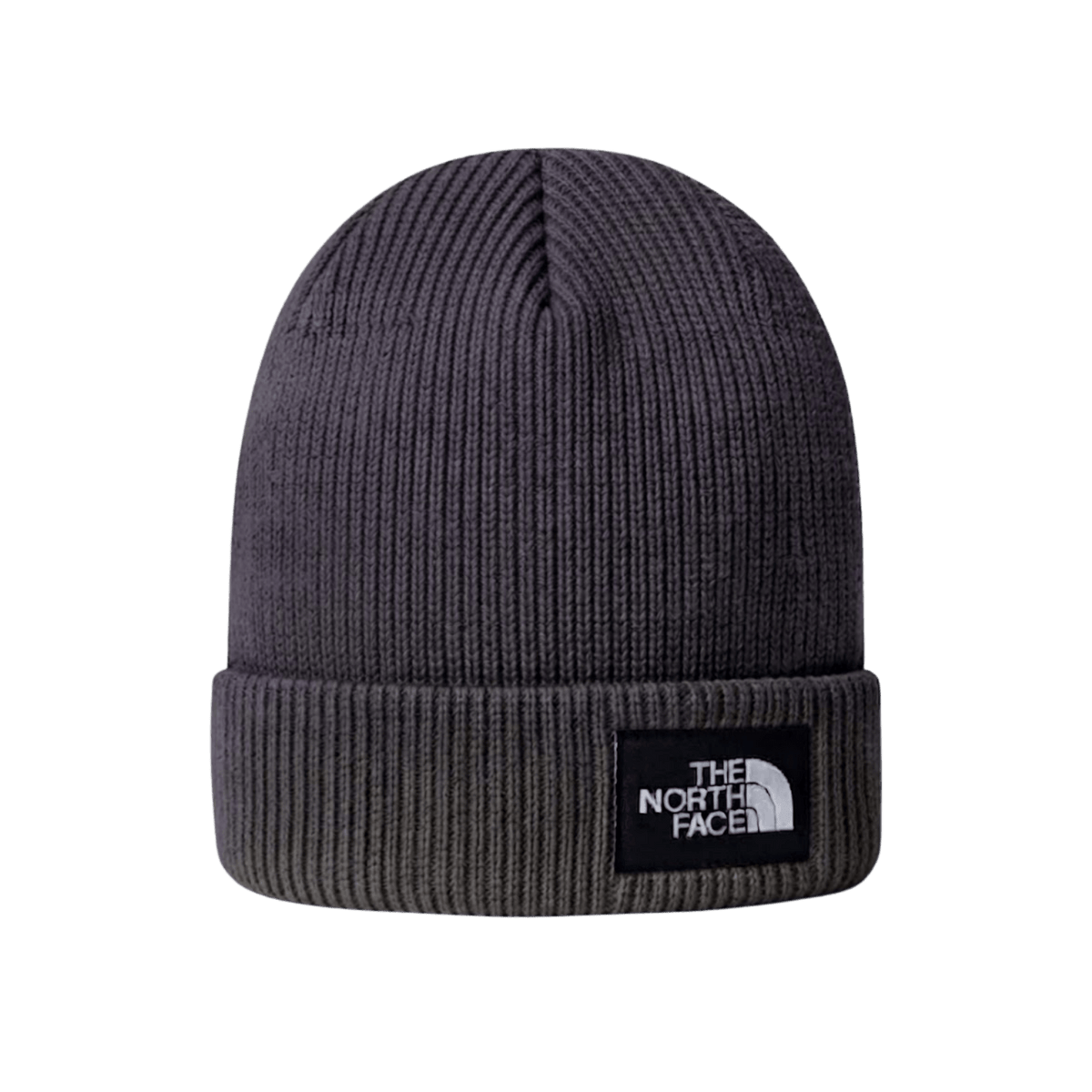 NORTH FACE DOCK WORKER RECYCLED BEANIE GROUNDED PLUM