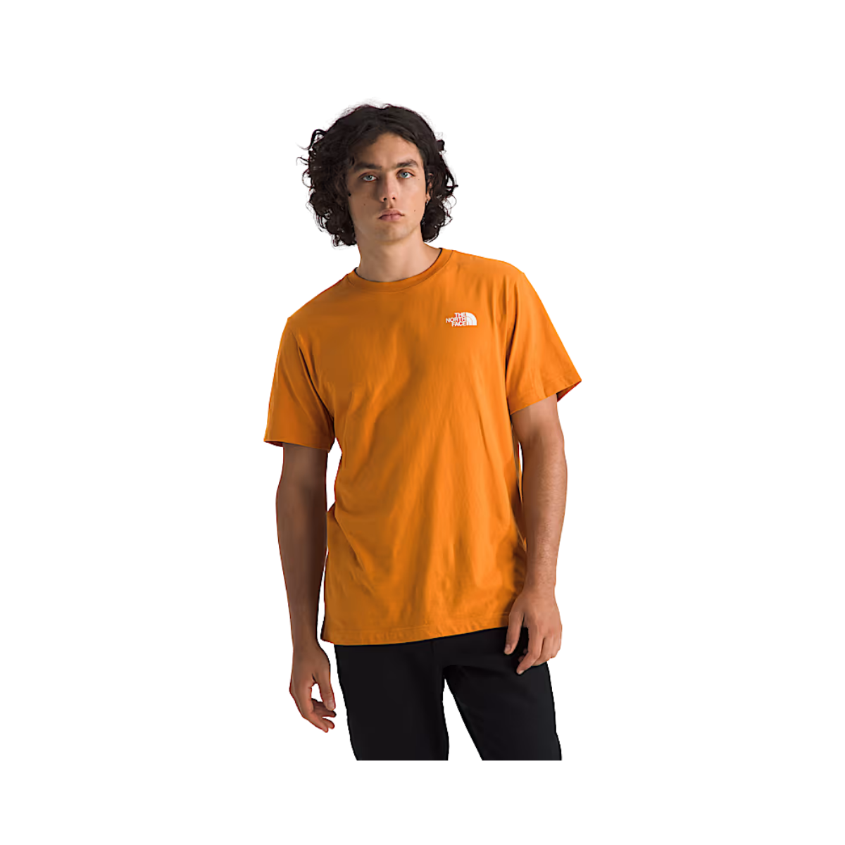 NORTH FACE EVOLUTION BOX REG S/S TEE FRONT VIEW