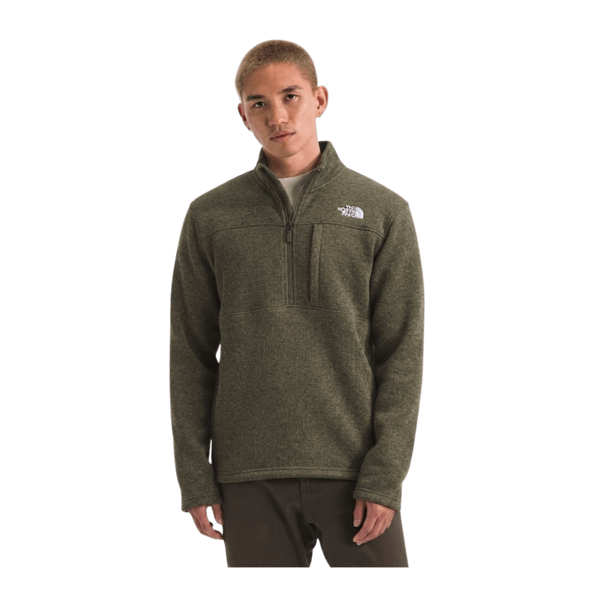 NORTH FACE GORDON LYONS 1/4 ZIP NEW TAUPE GREEN HEATHER