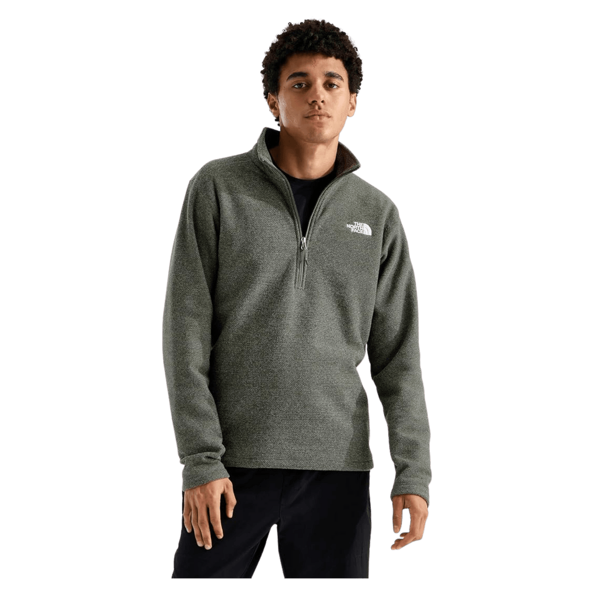 NORTH FACE TEXTURED CAP ROCK 1/4 ZIP NEW TAUPE GREEN HEAHTER