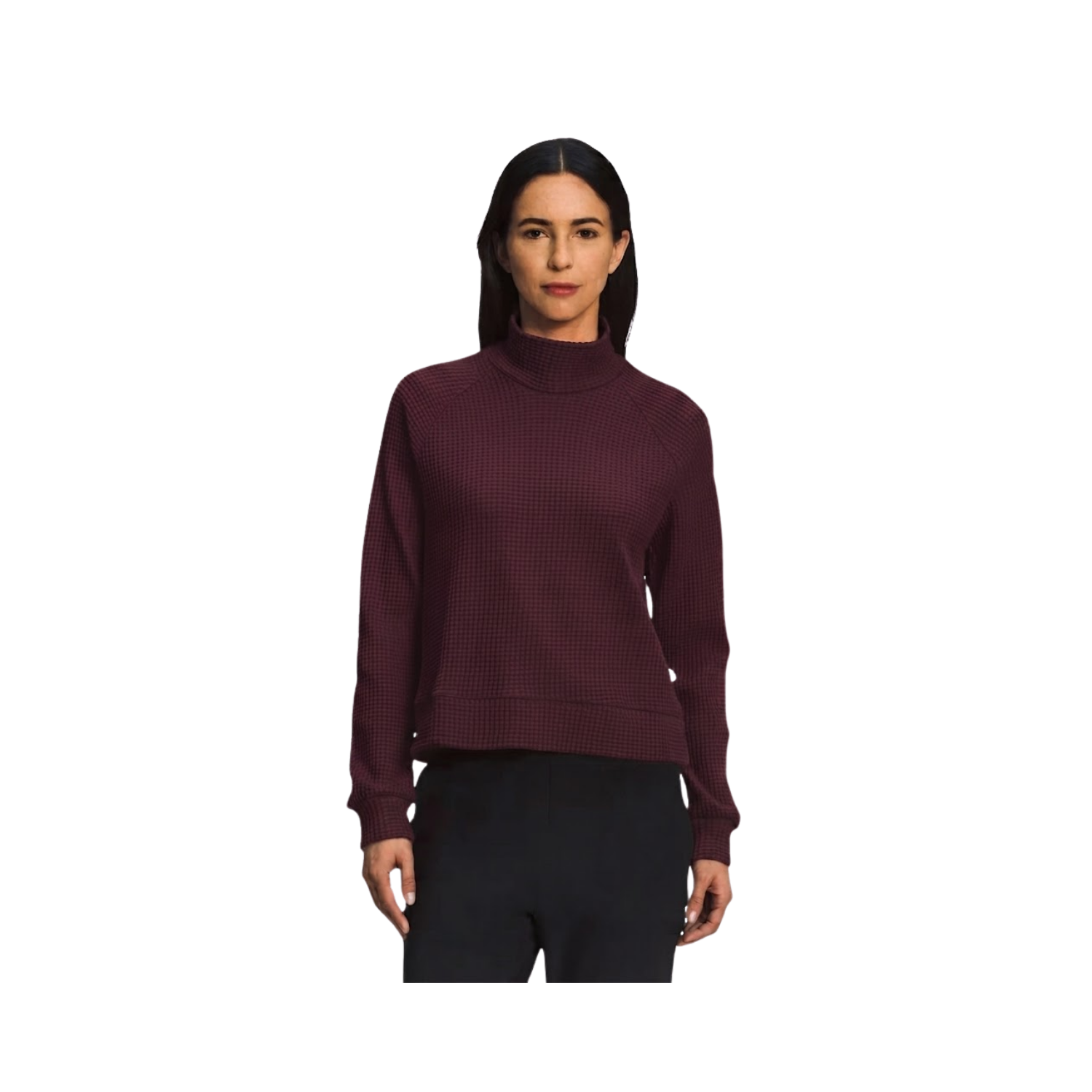 NORTH FACE W CHABOT 2.0 MOCK-NECK GARNET